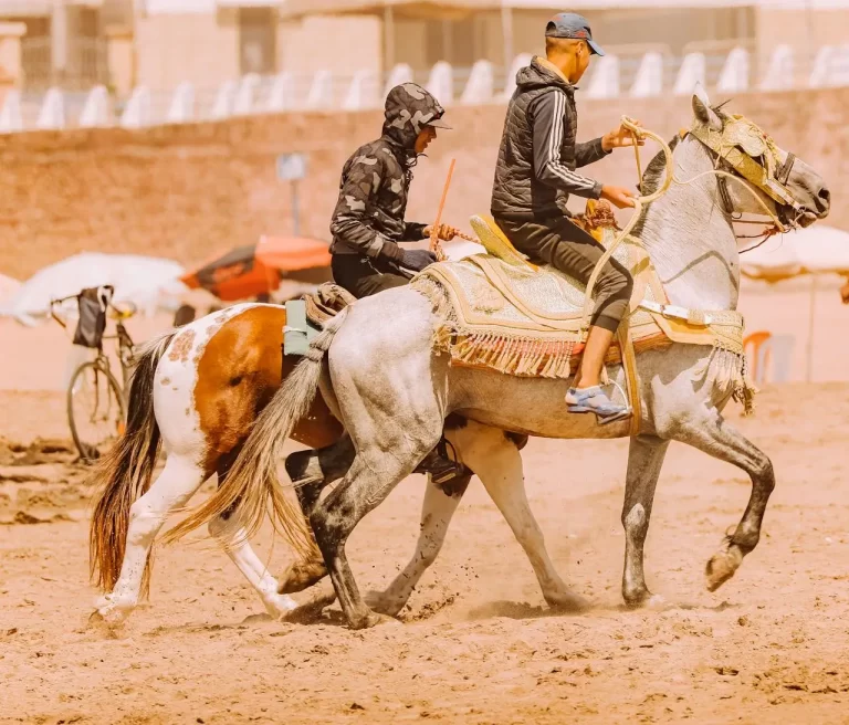 Top 5 Benefits of Taking a Test Ride Before You Buy a Horse