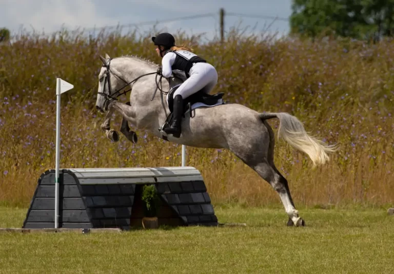 5 Things to Consider When Choosing the Right Horse for You